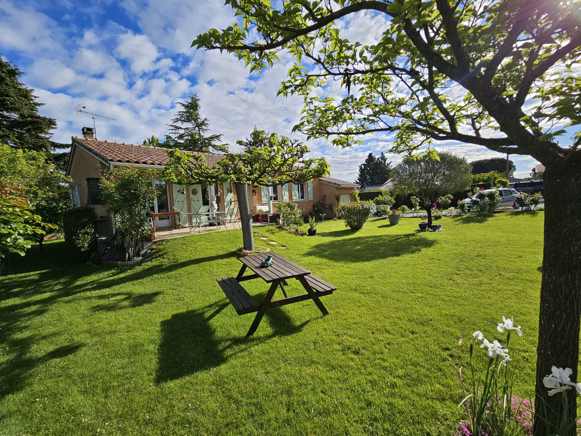 WhatsApp Image 2026 03 22 at 19.04.11 (9)